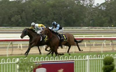 The Stable Trains A Race 7 Wyong Quinella