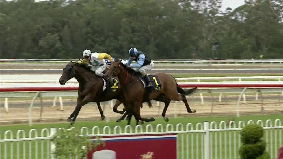 The Stable Trains A Race 7 Wyong Quinella - Damien Lane Racing