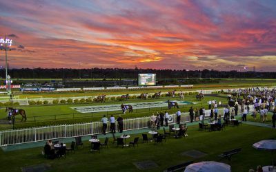 Two Stable Runners To Compete Canterbury On Friday Night