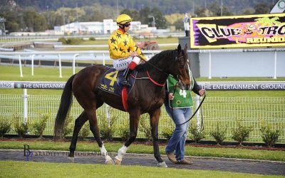 Mosaytion To Compete At Tamworth On Monday