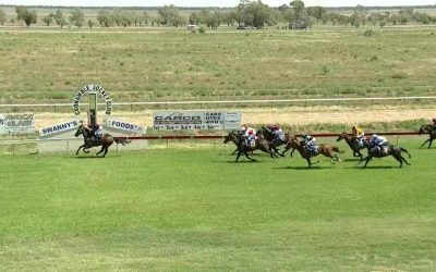 Whitsunday Runs Third At Coonamble