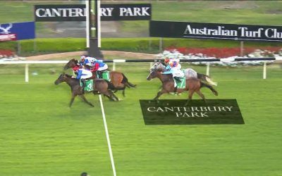 All But Gone Scores At Canterbury Under Jason Collet