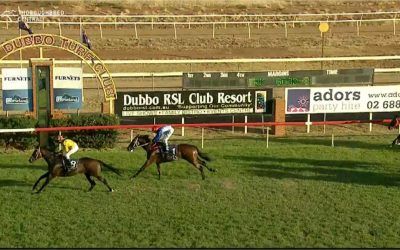 Rastafarian Arrives 2nd At Dubbo