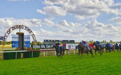 Rastafarian To Compete At The City Of Dubbo Turf Club On Friday