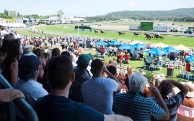 Stable Runners For Damien Lane At Gosford On Anzac Day