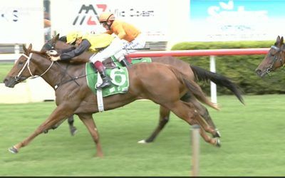 Flying Comet Removes The Maiden Tag Under Travis Wolfgram At Taree