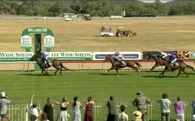 Rastafarian Takes Out Race 2 At Wellington Under Jake Hull