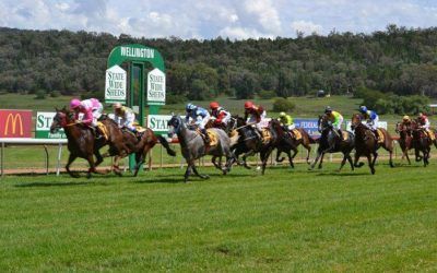 Stable Runners For Wellington On Saturday