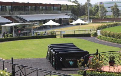 Stable Runners For Rosehill On Easter Monday