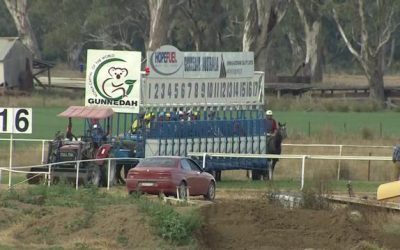 The Stable Heads To Gunnedah On Sunday