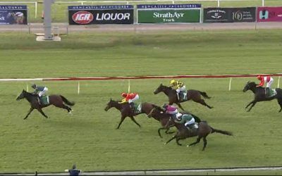 Buckin’ Beauty Puts In A Great Effort At Newcastle Under Mikayla Weir