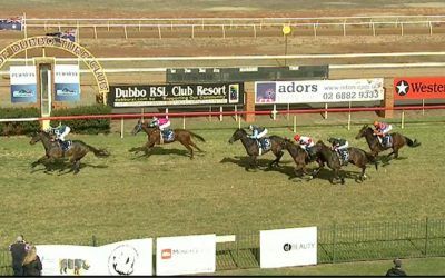 Choice Larga Picks Up A Placing At Dubbo Under Travis Wolfgram