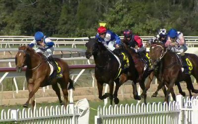 Stable Runners Finish In The Placings At Wyong On Thursday