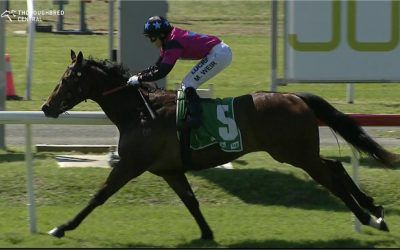 A Cheer Of You Buckin’ Beauty Was Heard After The Filly Scored In The Opener At Newcastle