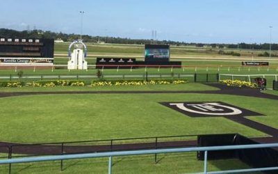 The Lane Stable Saddle’s Up At Kembla Grange On Saturday