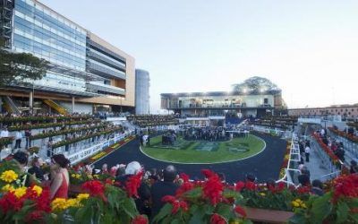 Leogang To Run At Randwick On Saturday