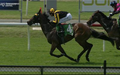 Buckin’ Beauty Runs Second At Newcastle Under Mikayla Weir