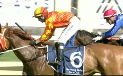 Princess Snowy Almost Pulls Off A Win At Taree