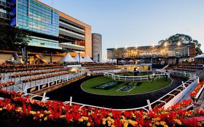 Leogang To Run At Randwick On Saturday