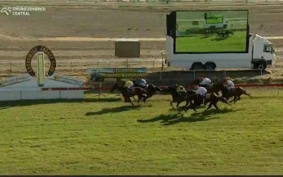 All But Gone Runs Second In The Coonamble Cup