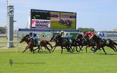 Snip N Stare Wins On Debut At Newcastle Under Grant Buckley