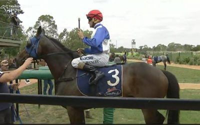 Captains Legend To Run At Gosford Under Travis Wolfgram