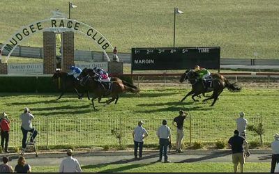 Choice Larga Runs Third In The Mudgee Cup Sprint