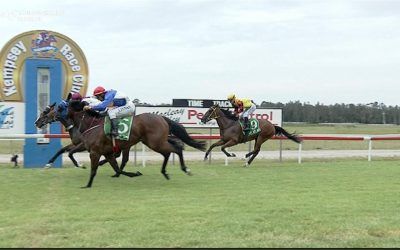 Cortesta Just Misses At Kempsey