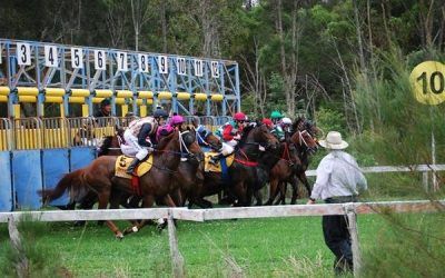 Stable Runners For Kempsey On Monday