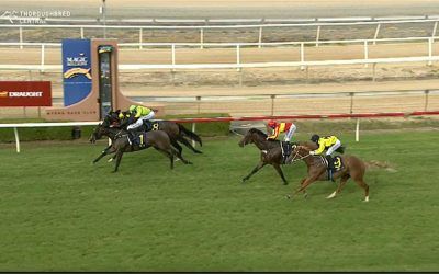 Oakfield Twilight Just Misses Under Bucko At Wyong