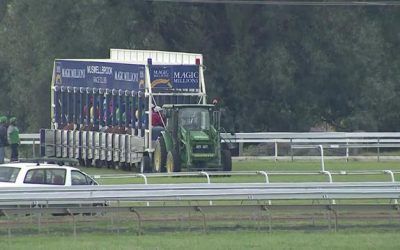 The Lane Yard To Supply Runners To Muswellbrook On Friday