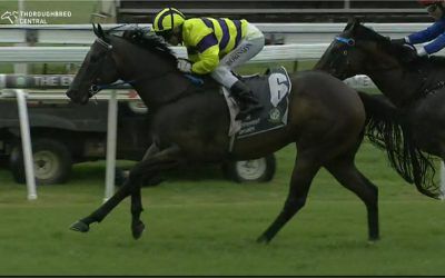 Rastafarian Puts In A Solid Effort under Grant Buckley @ Gosford