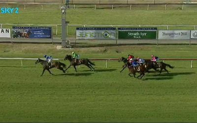 Oakfield Twilight Finishes 2nd Under Bucko At Newcastle