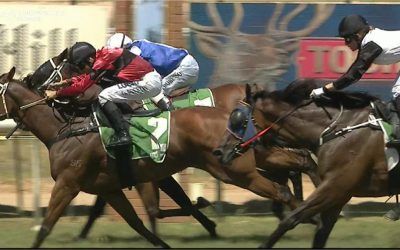 Ayeteem Runs A Good Third At Odds At Cessnock