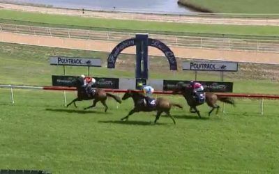 Buckin Beauty Arrives In Third At Hawkesbury