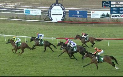 Ayeteem Runs A Good Second At Odds At Muswellbrook