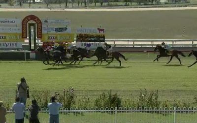 Boston Blues Arrives In Third Over 1900m At Armidale