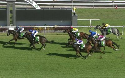 Kanguru Runs Third Under Travis Wolfgram At Gosford