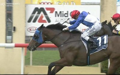 Kate’s Pearl Bounces Back To Form At Taree