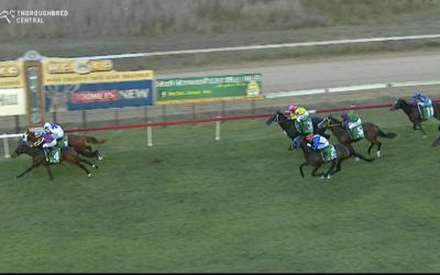 Captains Legend Arrives In Third After The Last At Cessnock