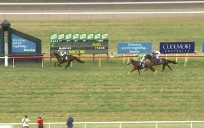 Captain’s Legend Runs Third Over 2200m At Scone