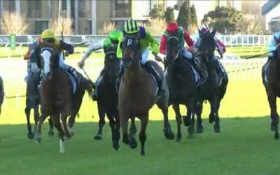 Pirate Ben Puts In A Super Run When Finishing The Runner Up At Randwick