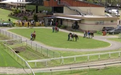 The Lane Yard Prepares Runners For Taree On Friday