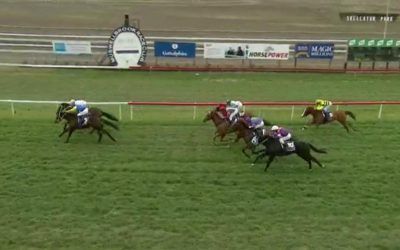 Magnalane Steps Up To Class 1 Company To Run Third At Muswellbrook