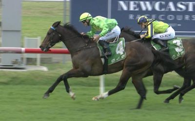 Two Stable Runners To Compete At Newcastle On Saturday