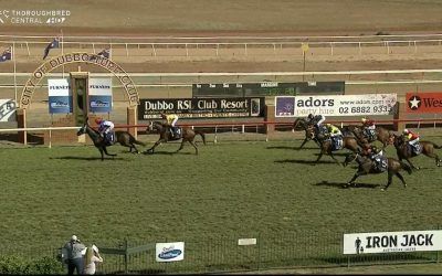 Outstanding Ride Under A Well Prepared Captain’s Legend Scores At Dubbo