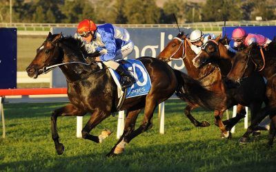 All But Gone To Run On Kembla’s Big Day