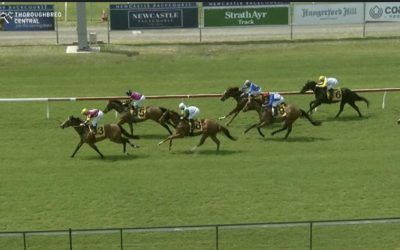 Buckin Beauty Puts In A Great Effort At Newcastle To Finish 2nd