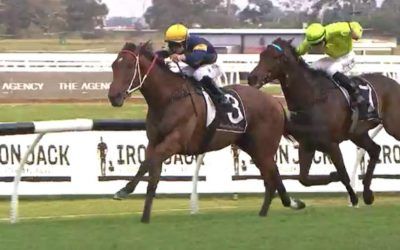 Oakfield Twilight Finishes 2nd At Rosehill On Saturday