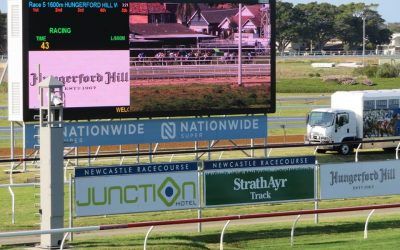 The Lane Yard Prepares Runners For Newcastle On Saturday